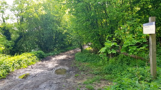 Sippenaeken-grensovergang Terzieterweg Bovenste Bosch (1)