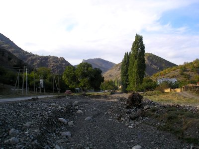 Shelen 5