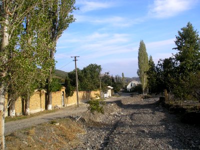 Shelen 9