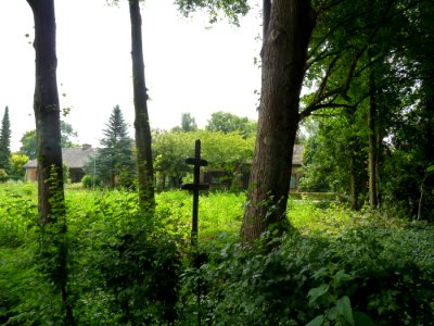 Sint Odiliënberg-Hagelkruis (3)
