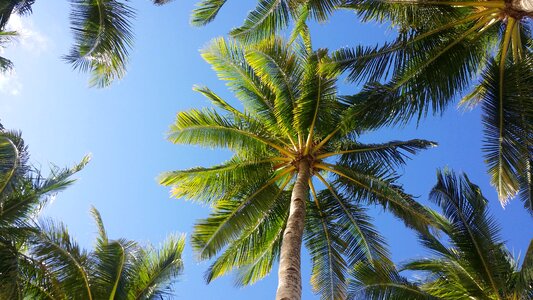 Sky boracay tropical