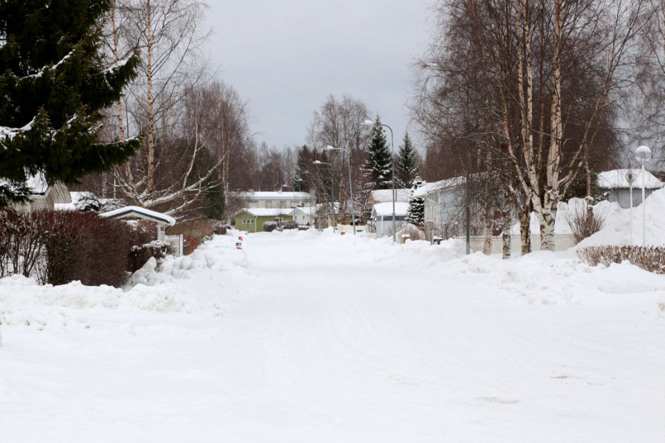 Sirppitie Oulu 20170309