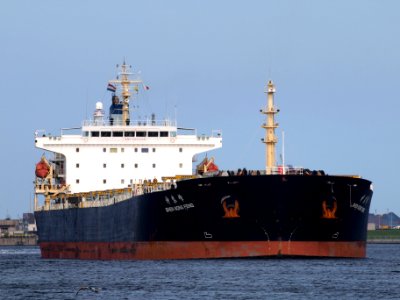 Shen Nong Feng IMO 9230385 at IJmuiden, Holland p3 08May2009