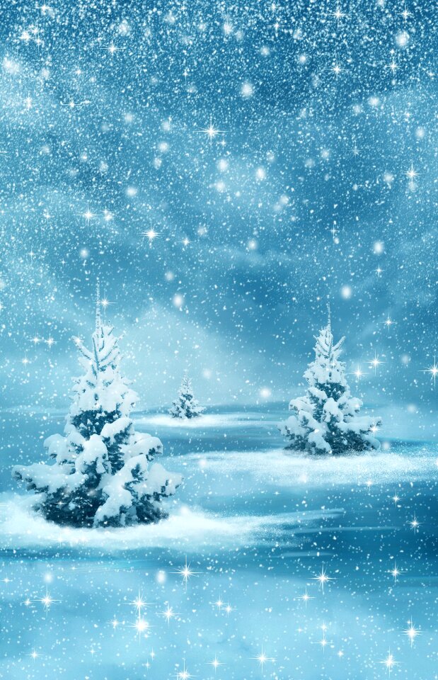 Winter nature forest