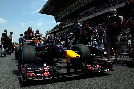 Bull sport formula