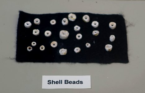 Shell beads - Late Woodland collection - Robbins Museum - Middleborough, Massachusetts - DSC03856