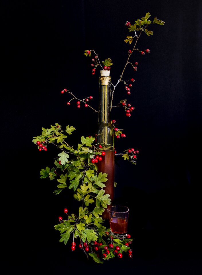 Red liqueur still lifes