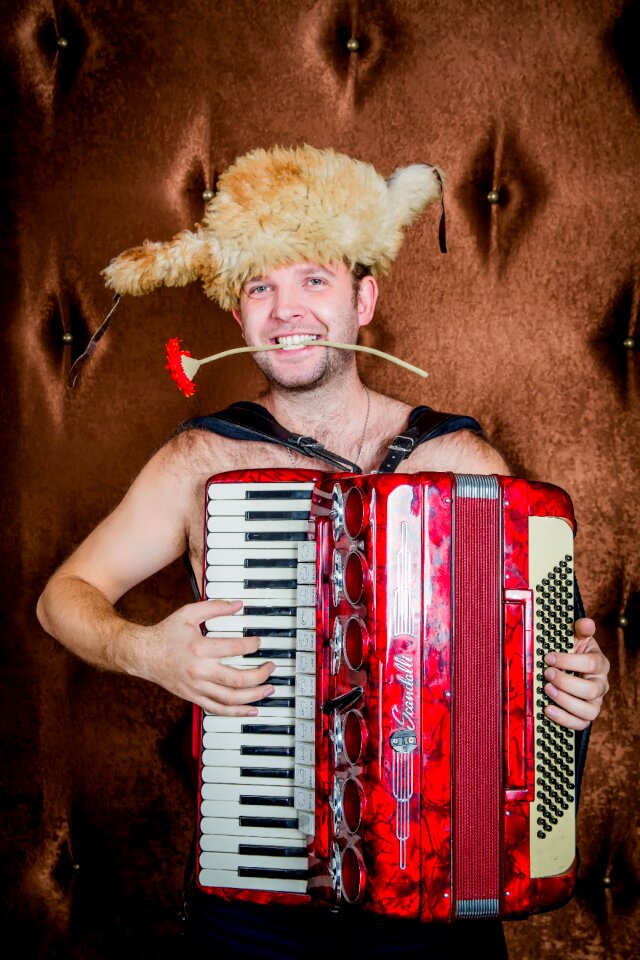 Accordion music musician