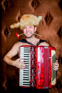 Accordion music musician
