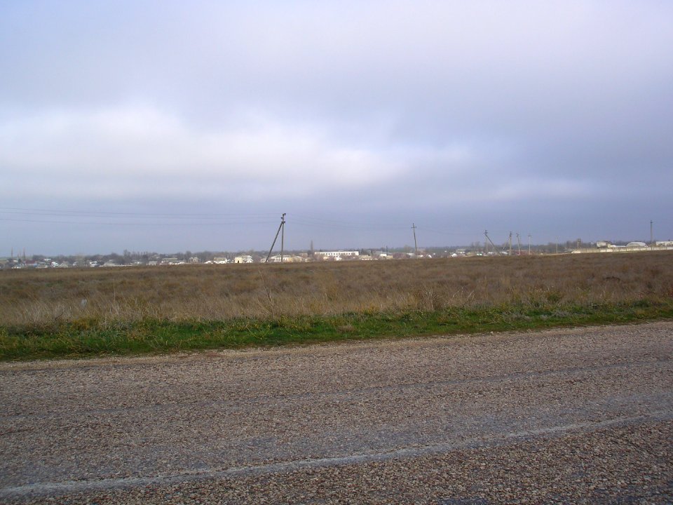 ShelkovichnoeSak 7
