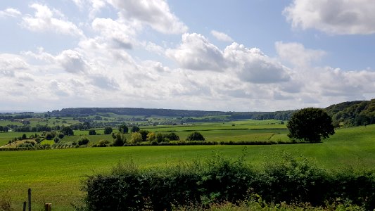 Sippenaeken-Bois de Beusdael (3)