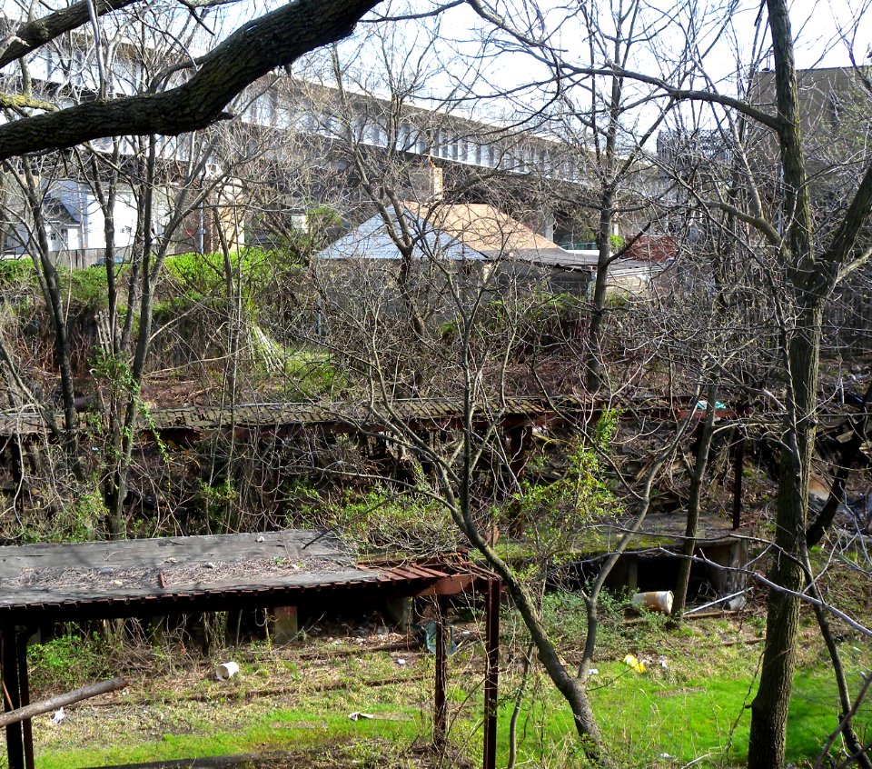 SIRT Elm Pk Sta canopies jeh