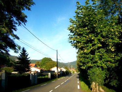 Siradan 02