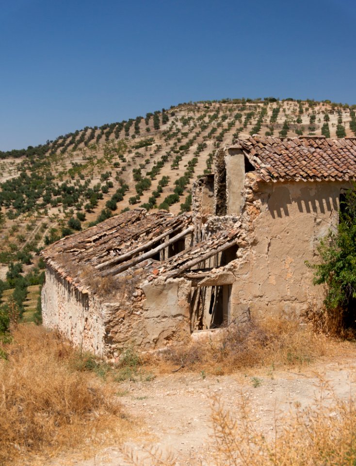 Simple ruin, almond trees plantation, Andalusia, Spain