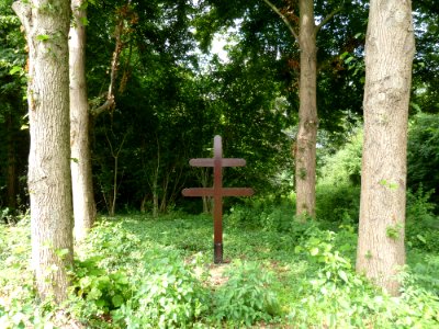 Sint Odiliënberg-Hagelkruis (2)