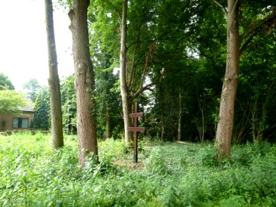 Sint Odiliënberg-Hagelkruis (4)