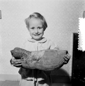 Sinterklaasopnamen. Meisje voor met klomp, wortel en stro, Bestanddeelnr 906-1496