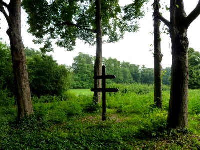 Sint Odiliënberg-Hagelkruis (1)
