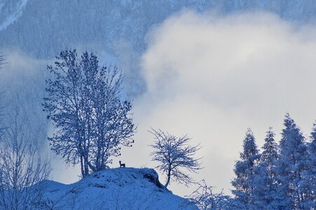 Sautens oetztal tyrol