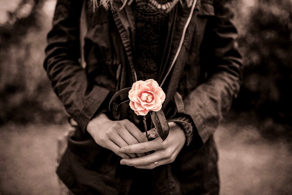 Flower sepia brown vintage