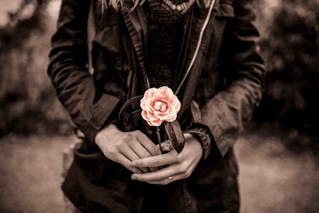 Flower sepia brown vintage