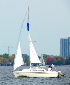 Sirius 21 sailboat 3355