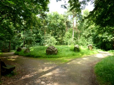 Sint Odiliënberg-Grafheuvel Bergerbos