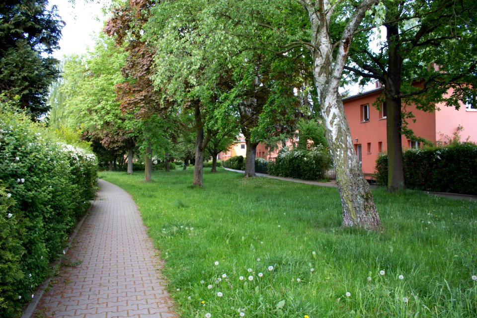 Simpsonweg, Parkanlage 20140503 108