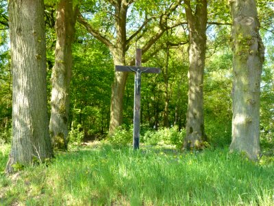 Sint Odiliënberg (Roerdalen) wegkruis langs N57