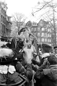 Sint Nicolaas optocht Amsterdam. Sint op paard drinkt glaasje, Bestanddeelnr 922-9748