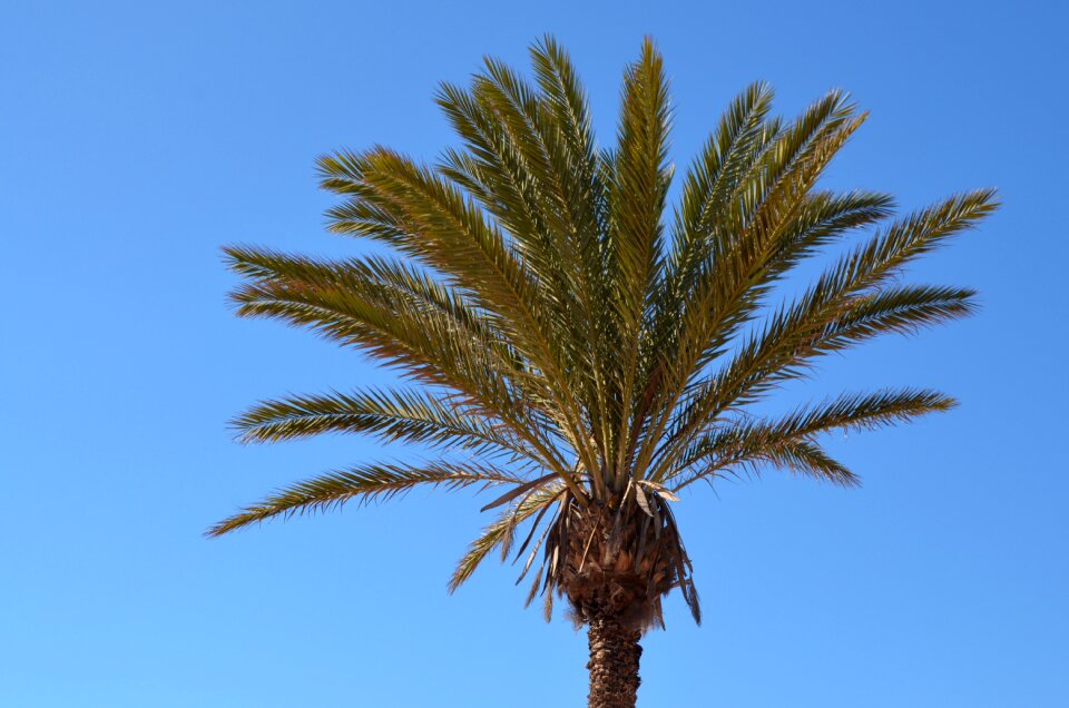 Partly cloudy blue summer