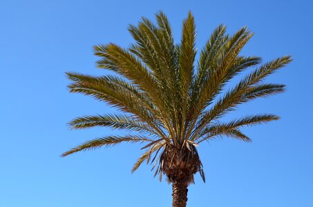 Partly cloudy blue summer