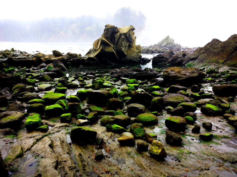 Simpson Beach Coos Bay Oregon (187150565)