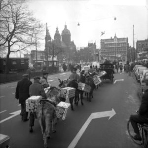 Sinaasappeloptocht vanaf stadhuis naar Emmakinderziekenhuis de optocht bij de St, Bestanddeelnr 916-0091