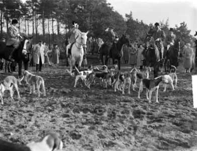 Sint Hubertusjacht bij Amersfoort jagermeester Prins Bernhard, koningin Juliana , Bestanddeelnr 903-6961