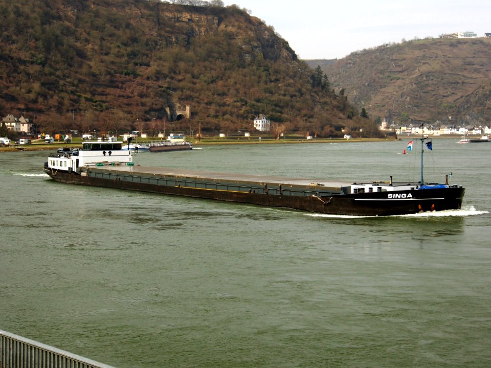 Singa, ENI 02317703 at the Rhine river pic4