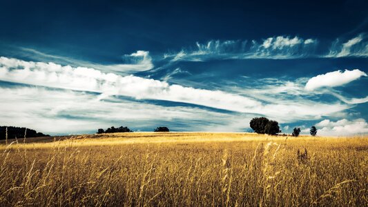 Sky crop harvest