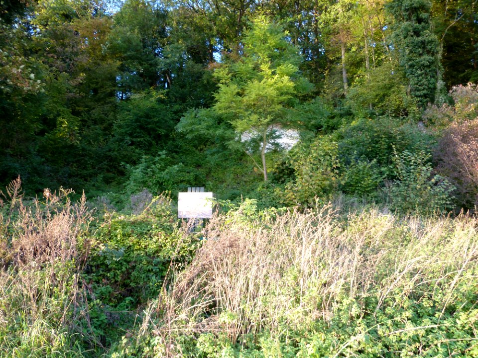 Sint Geertruid-Geologisch monument Moerslag