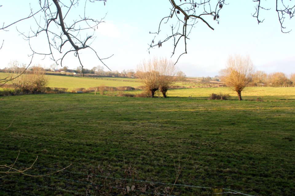 Site of the Battle of Langport