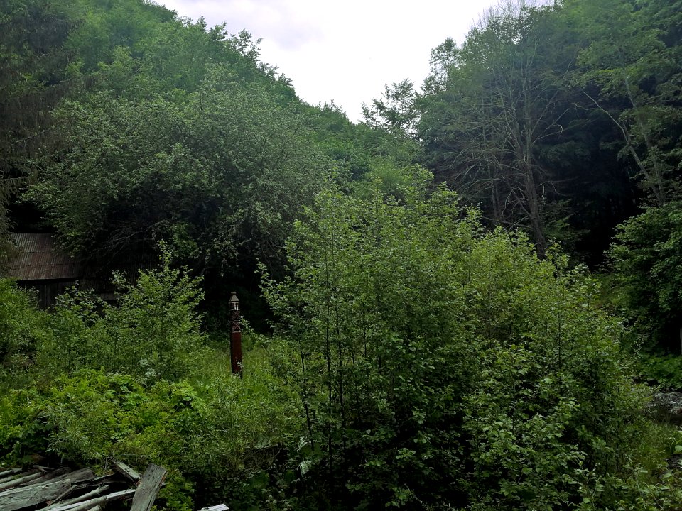 Site of Aprily's house (1)
