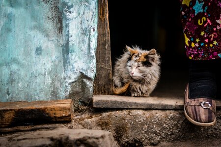 Person doorstep poverty