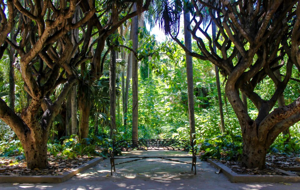 Garden algiers algeria