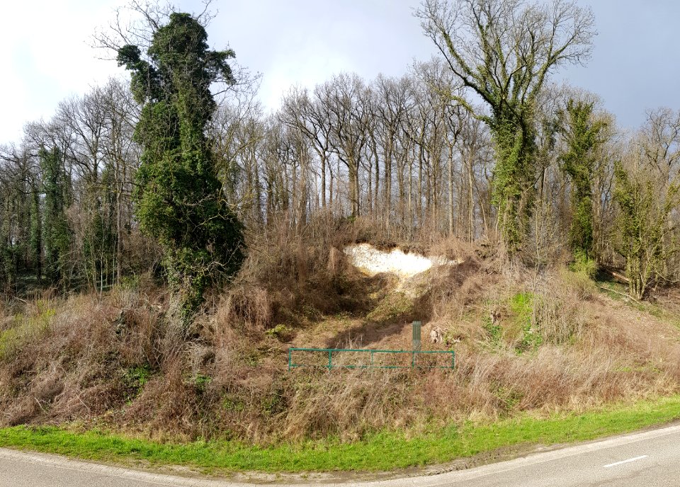 Sint Geertruid-Geologisch monument Moerslag (3)