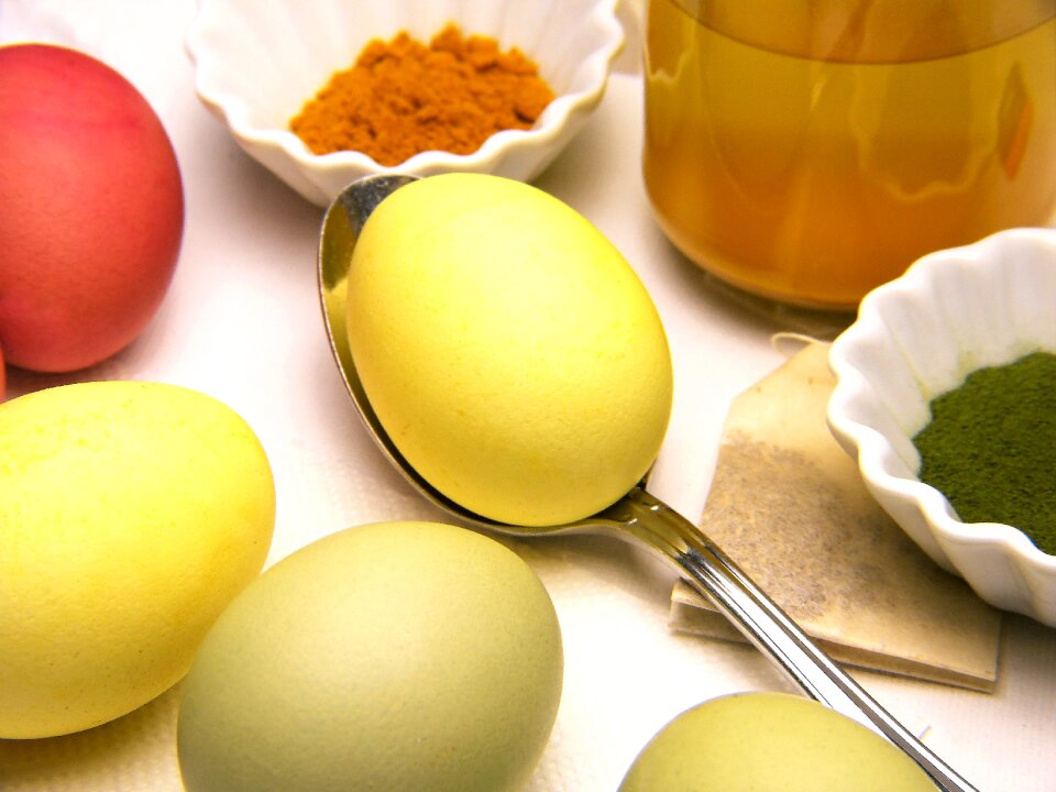 Colors of nature easter easter egg