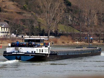 Singa, ENI 02317703 at the Rhine river pic3