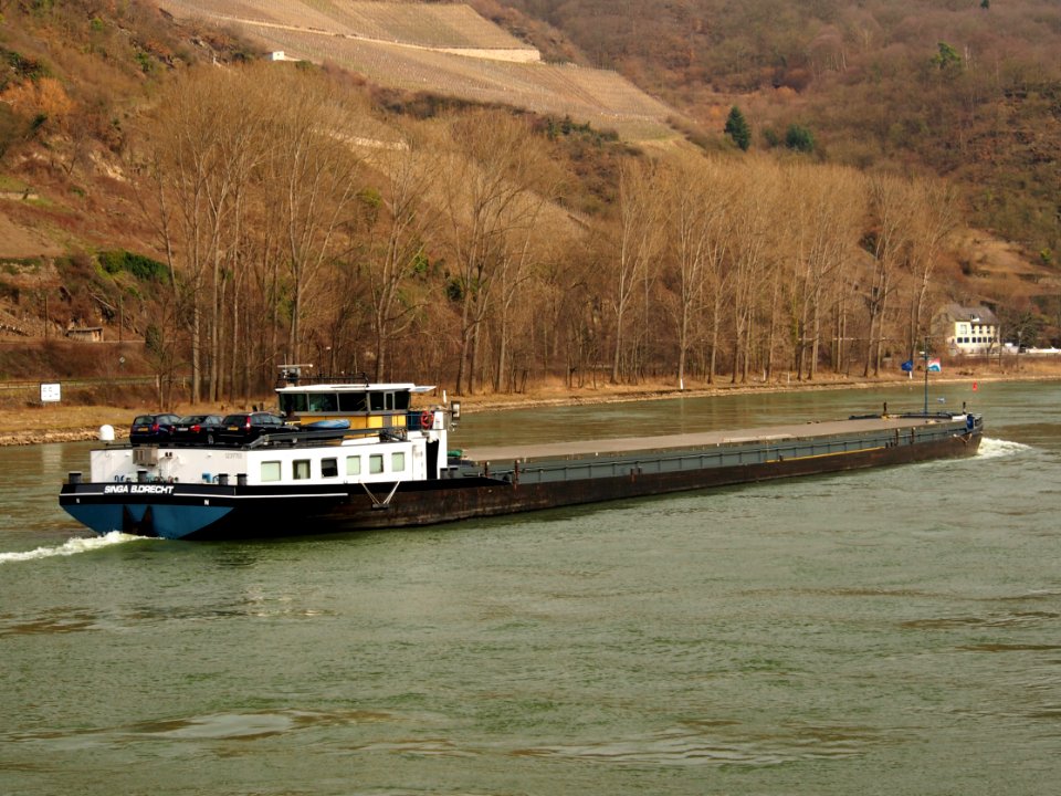 Singa, ENI 02317703 at the Rhine river pic6