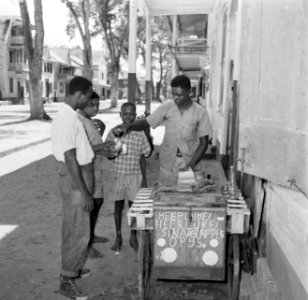 Sinaasappelstal in Paramaribo, Bestanddeelnr 252-4913