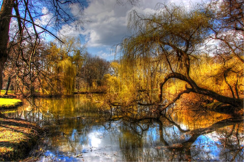 Nature landscape lower saxony photo