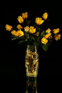Dark flower vases photo