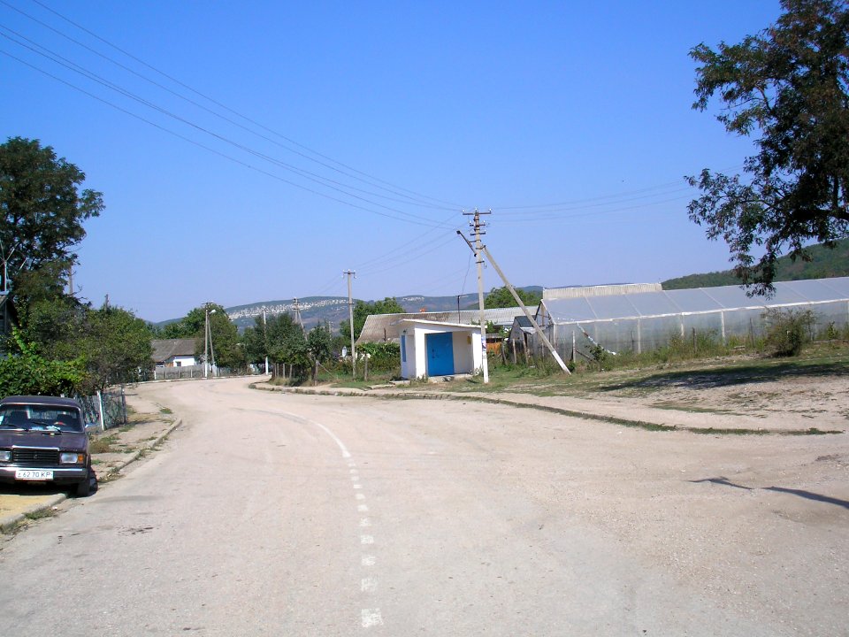 Sinapnoe 5